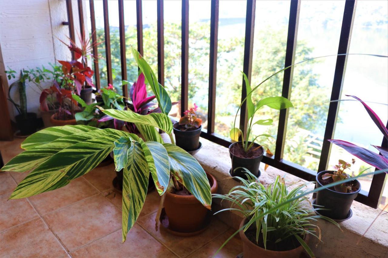 Portofino Apartment Lavasa Luaran gambar